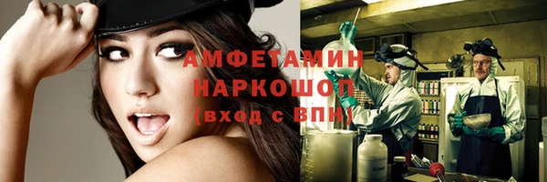 сатива Кулебаки