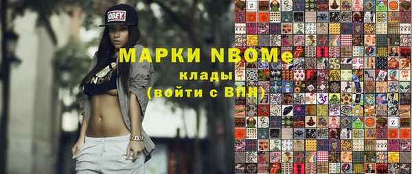 сатива Кулебаки