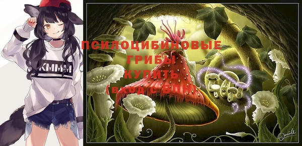 гидропоника Куйбышев