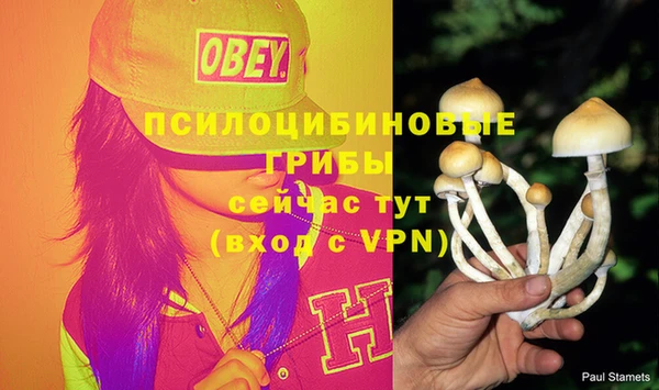 сатива Кулебаки
