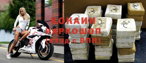 сатива Кулебаки