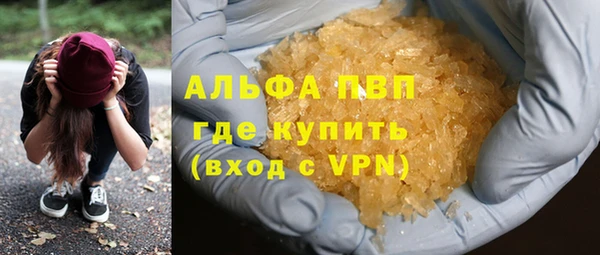 сатива Кулебаки
