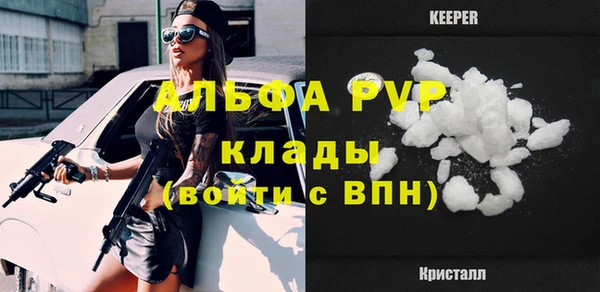 сатива Кулебаки