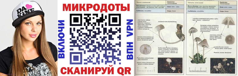 Купить закладки  Сасово  Галлюциногенные грибы мицелий 